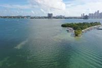 Best Price Jet Ski Rental Miami image 4